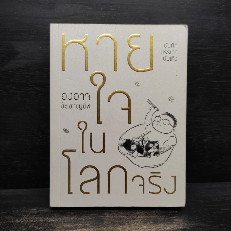 หายใจในโลกจริง - องอาจ ชัยชาญชีพ รูปที่ 1