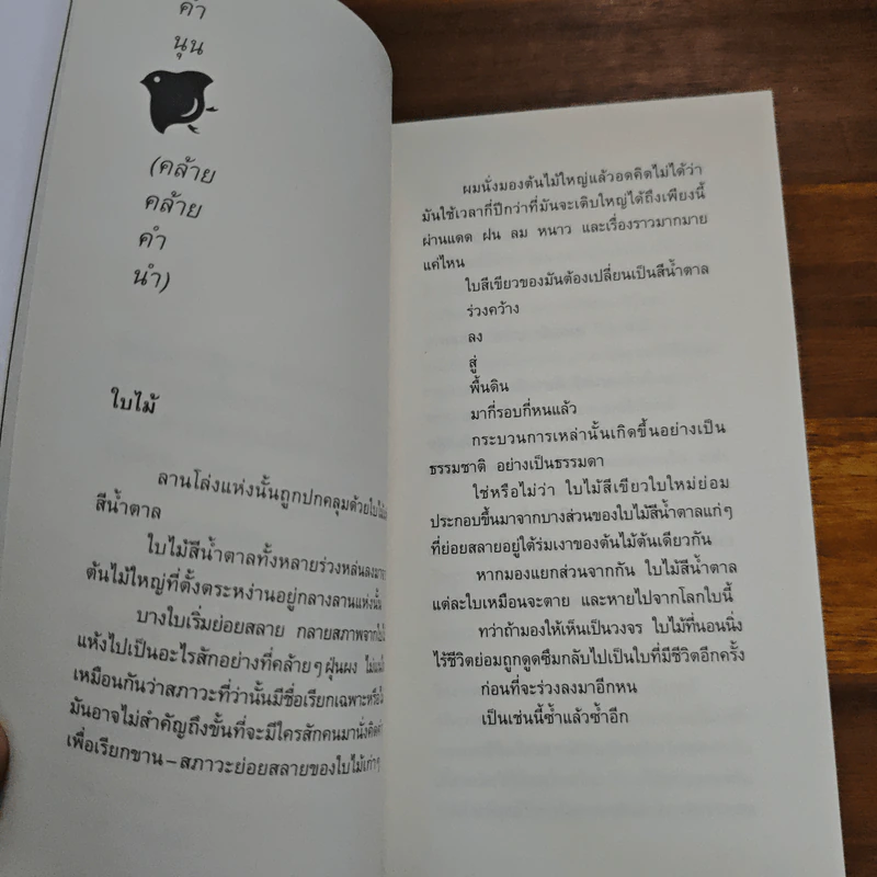 สิ่งที่ค้นพบระหว่างนั่งเฉยเฉย - นิ้วกลม รูปที่ 8