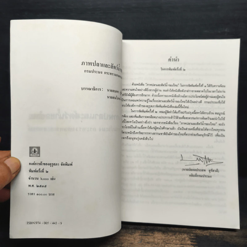 ภาพปลาและสัตว์น้ำของไทย - กรมประมง กระทรวงเกษตรและสหกรณ์ รูปที่ 6