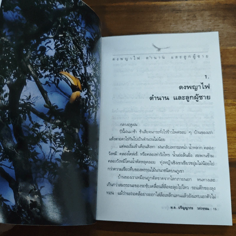 ดงพญาไฟ ตำนาน และลูกผู้ชาย - ม.ล.ปริญญากร วรวรรณ รูปที่ 8