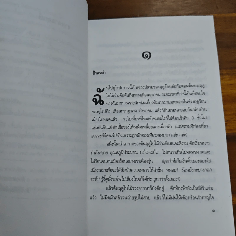เดี่ยวยุโรป - มนันยา รูปที่ 7