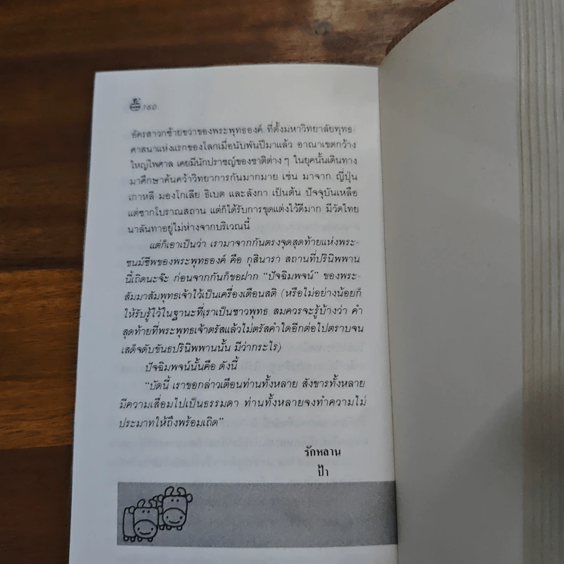 ทัวร์แดนภารตะ - อมราวดี รูปที่ 9
