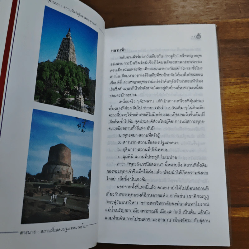 ทัวร์แดนภารตะ - อมราวดี รูปที่ 8