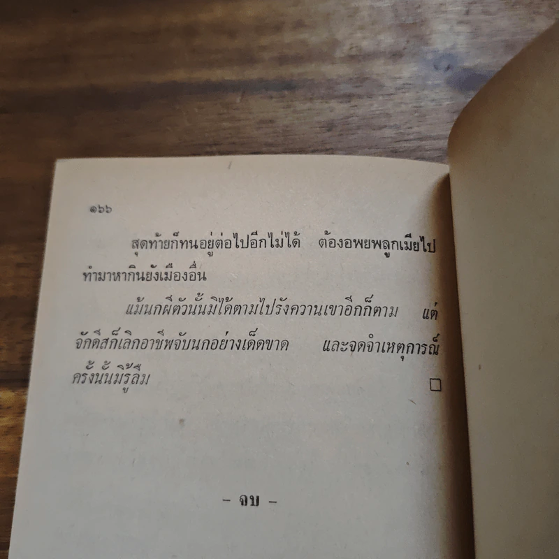 อินเดียพิศวง - ชัยชนะ โพธิวาระ รูปที่ 9