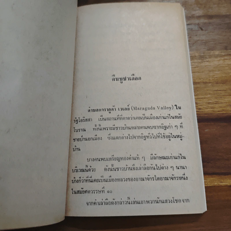 อินเดียพิศวง - ชัยชนะ โพธิวาระ รูปที่ 7
