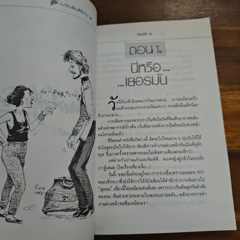 ใบไม้เปลี่ยนสีที่ยุโรป - พิมพ์สี รูปที่ 8