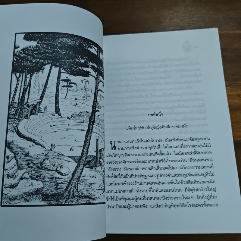 โมโม่ - มิฆาเอ็ล เอ็นเด้ รูปที่ 9