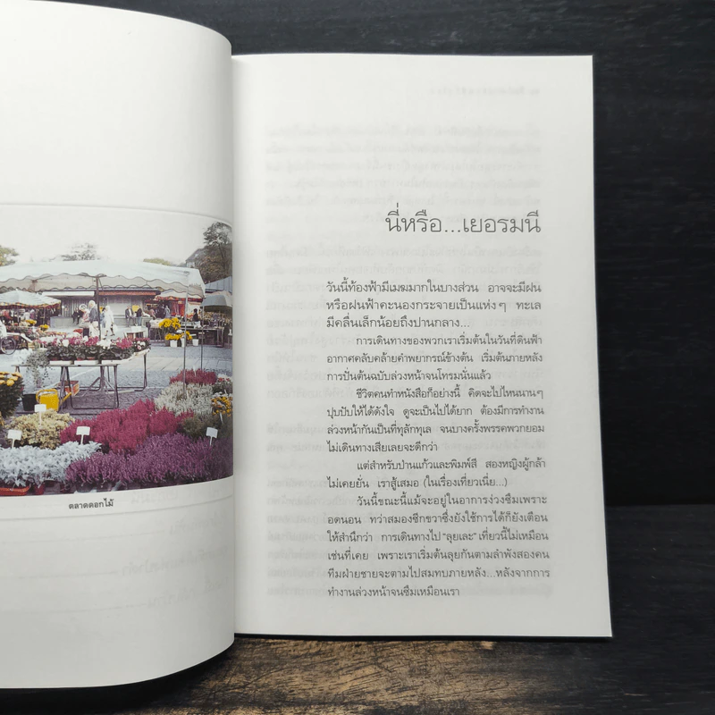 ใบไม้เปลี่ยนสีที่ยุโรป - พิมพ์สี รูปที่ 8