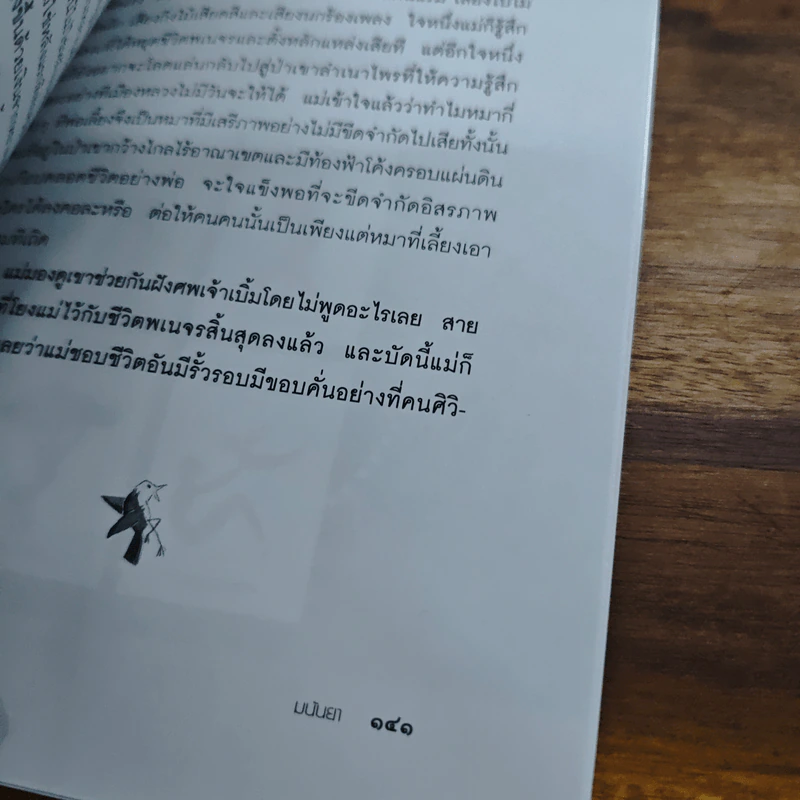 ขอพบพานพิศวาสไม่คลาดคลา - มนันยา รูปที่ 9
