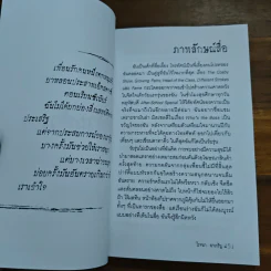 ความลับของเด็กสาว - โรจนา รูปที่ 9