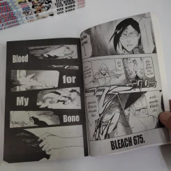Bleach เทพมรณะ 74 เล่มจบ รูปที่ 9