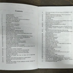 170 More English Essays รูปที่ 7