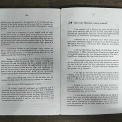 170 More English Essays รูปที่ 9
