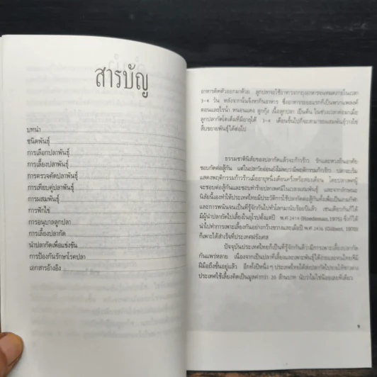 ปลากัด Betta - ชาติ ไชยณรงค์ รูปที่ 7