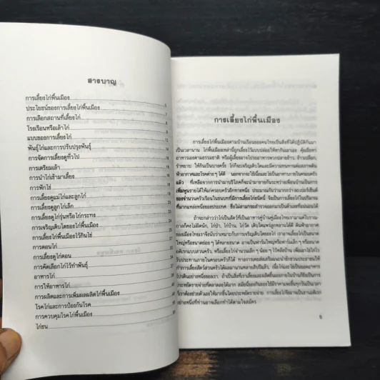 ไก่พื้นเมือง - โครงการหนังสือเกษตรชุมชน รูปที่ 7