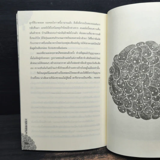 หลอน - ตะวันส่องอะวอร์ด 5 รูปที่ 9