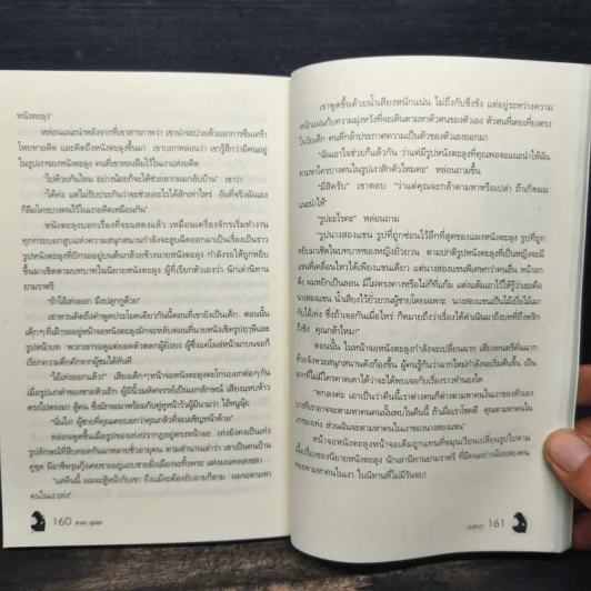 คนในเงา - สาคร พูลสุข รูปที่ 9