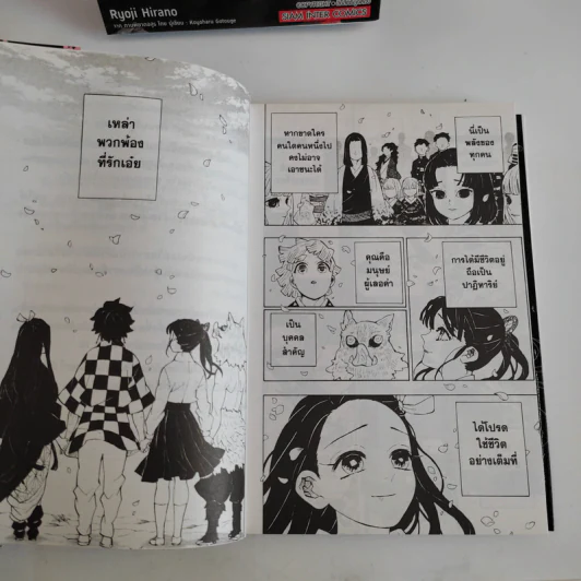 การ์ตูน ดาบพิฆาตอสูร 23 เล่มจบ + นิยายดาบพิฆาตอสูร ไกเด็น รูปที่ 8