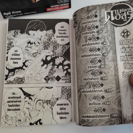 การ์ตูน ดาบพิฆาตอสูร 23 เล่มจบ + นิยายดาบพิฆาตอสูร ไกเด็น รูปที่ 6
