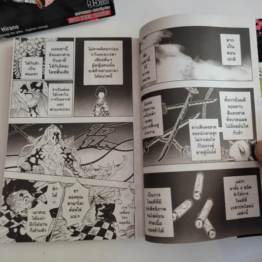 การ์ตูน ดาบพิฆาตอสูร 23 เล่มจบ + นิยายดาบพิฆาตอสูร ไกเด็น รูปที่ 7