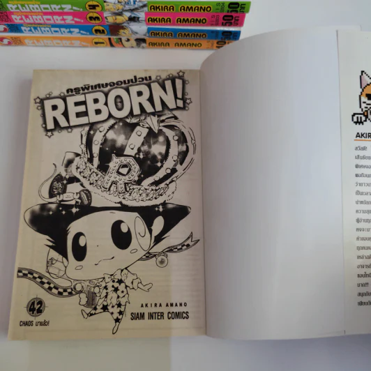 REBORN! ครูพิเศษจอมป่วน รีบอร์น 42 เล่มจบ รูปที่ 5