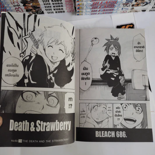 Bleach เทพมรณะ 74 เล่มจบ รูปที่ 10