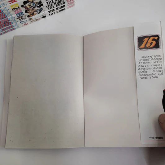 Bleach เทพมรณะ 74 เล่มจบ รูปที่ 6