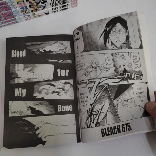 Bleach เทพมรณะ 74 เล่มจบ รูปที่ 9