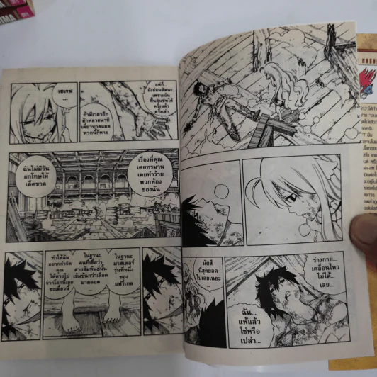 Fairy Tail ศึกจอมเวทอภินิหาร 63 เล่มจบ + ภาคพิเศษ เล่ม 1-3 รูปที่ 8
