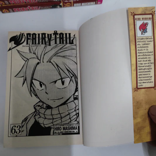 Fairy Tail ศึกจอมเวทอภินิหาร 63 เล่มจบ + ภาคพิเศษ เล่ม 1-3 รูปที่ 6