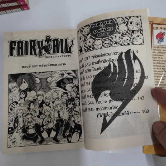 Fairy Tail ศึกจอมเวทอภินิหาร 63 เล่มจบ + ภาคพิเศษ เล่ม 1-3 รูปที่ 7