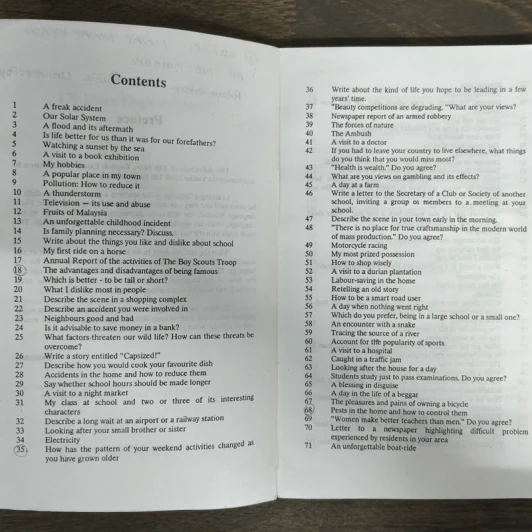 170 More English Essays รูปที่ 7