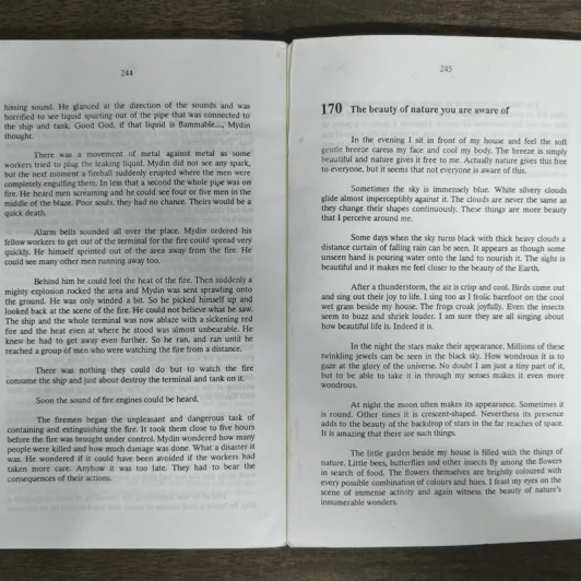 170 More English Essays รูปที่ 9