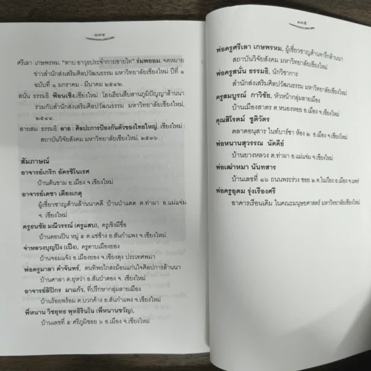 ดาบเมือง - วิลักษณ์ ศรีป่าซาง รูปที่ 9