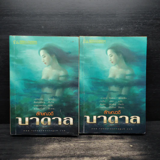 บาดาล 2 เล่มจบ - ลักษณวดี รูปที่ 1