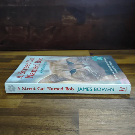 A Street Cat Named Bob - James Bowen รูปที่ 3