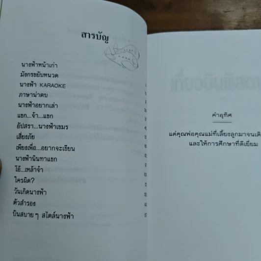 เที่ยวบินพิสดาร - อัปสรสวรรค์ รูปที่ 7