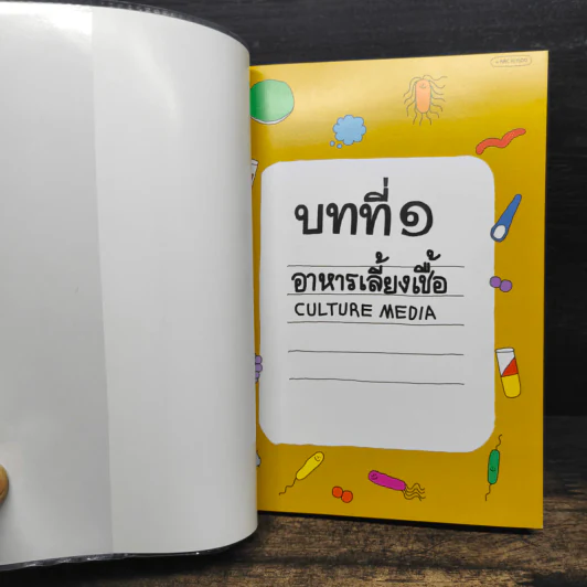SHORTNOTE BACTERIA UNIVERSE รูปที่ 6