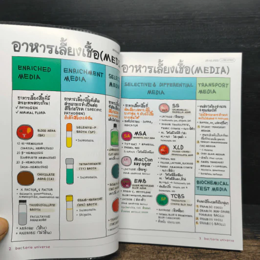 SHORTNOTE BACTERIA UNIVERSE รูปที่ 7