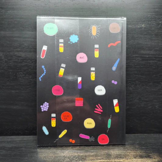 SHORTNOTE BACTERIA UNIVERSE รูปที่ 2