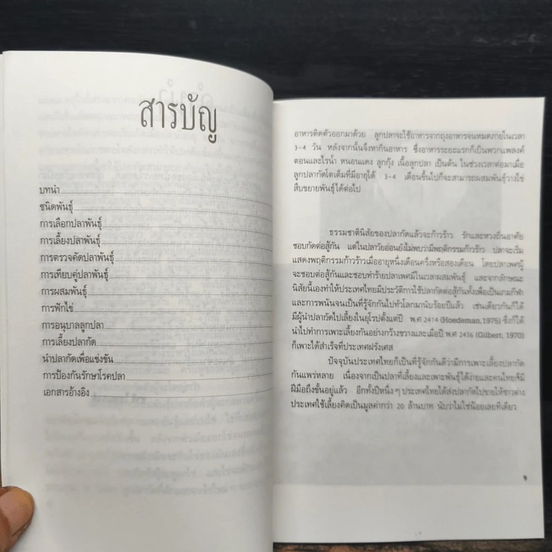 ปลากัด Betta - ชาติ ไชยณรงค์ รูปที่ 7