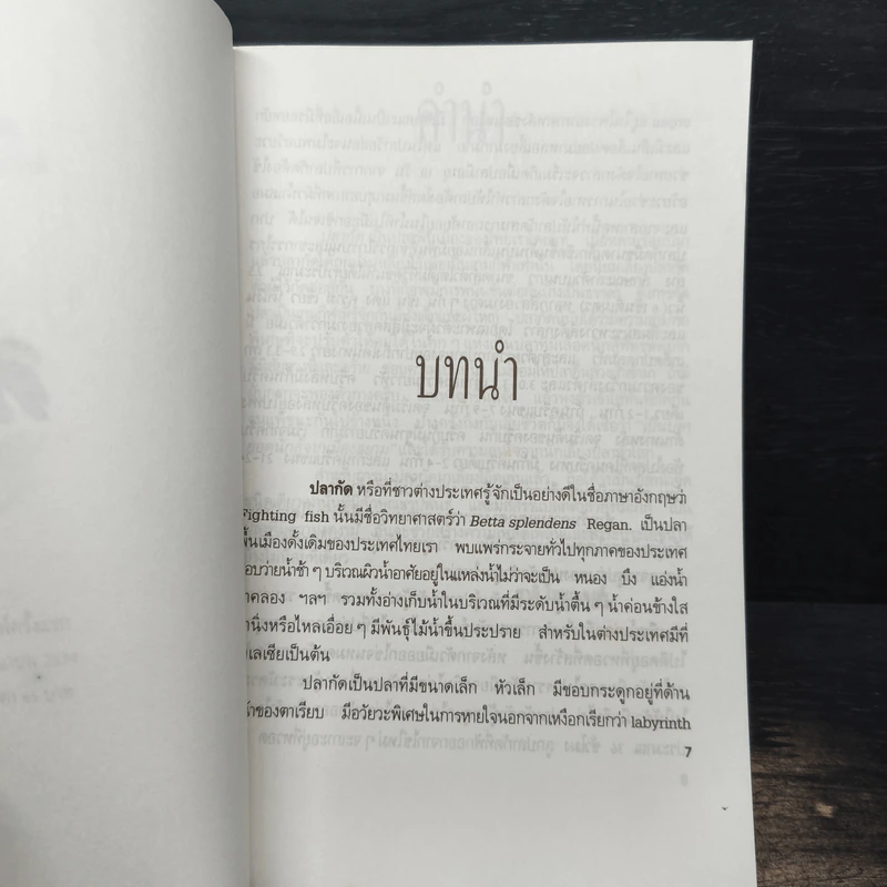 ปลากัด Betta - ชาติ ไชยณรงค์ รูปที่ 6