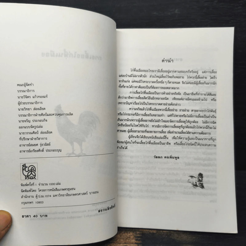 ไก่พื้นเมือง - โครงการหนังสือเกษตรชุมชน รูปที่ 6