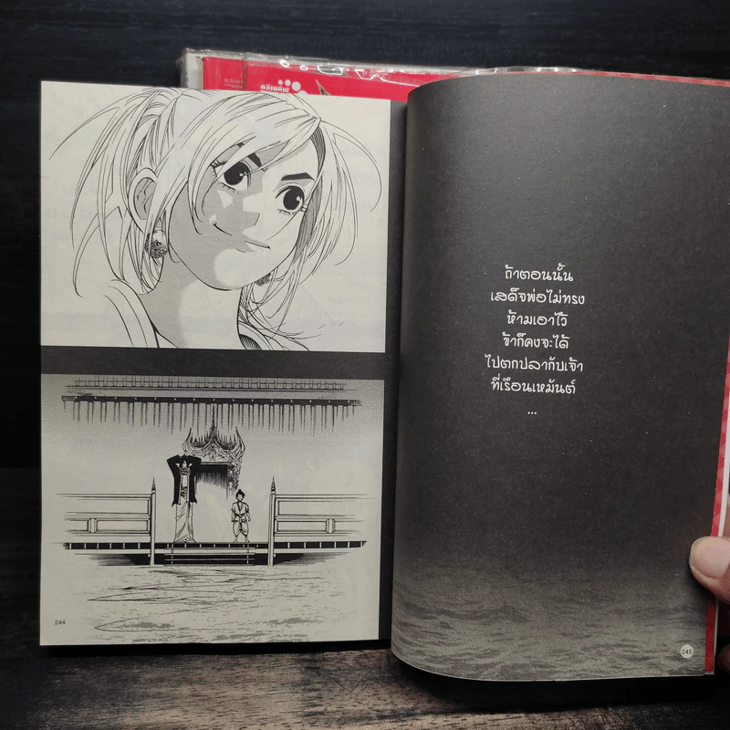 มหากาพย์กู้แผ่นดิน 4 เล่ม รูปที่ 12
