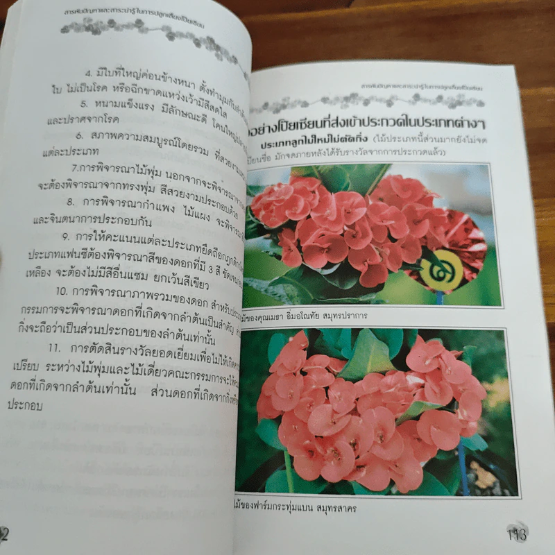 สารพันปัญหาและสาระน่ารู้ ในการปลูกเลี้ยงโป๊ยเซียน รูปที่ 8