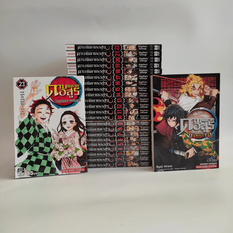 การ์ตูน ดาบพิฆาตอสูร 23 เล่มจบ + นิยายดาบพิฆาตอสูร ไกเด็น รูปที่ 1
