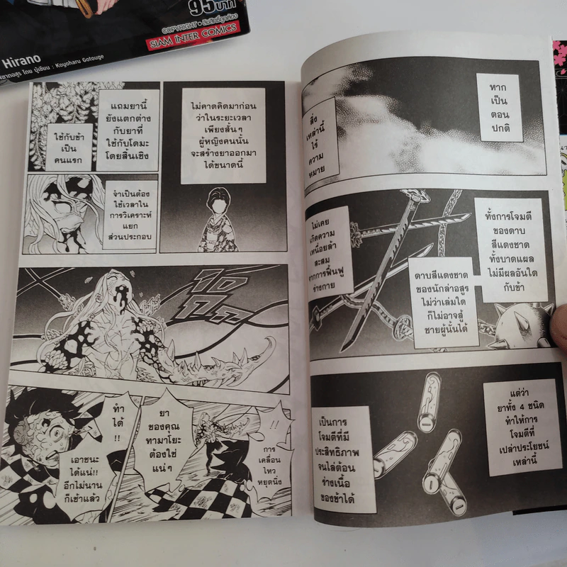 การ์ตูน ดาบพิฆาตอสูร 23 เล่มจบ + นิยายดาบพิฆาตอสูร ไกเด็น รูปที่ 7