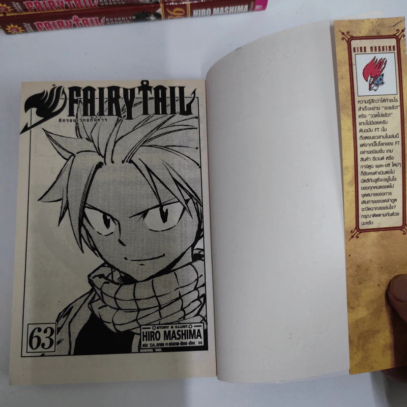 Fairy Tail ศึกจอมเวทอภินิหาร 63 เล่มจบ + ภาคพิเศษ เล่ม 1-3 รูปที่ 6