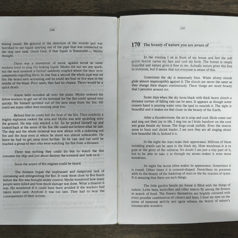 170 More English Essays รูปที่ 9