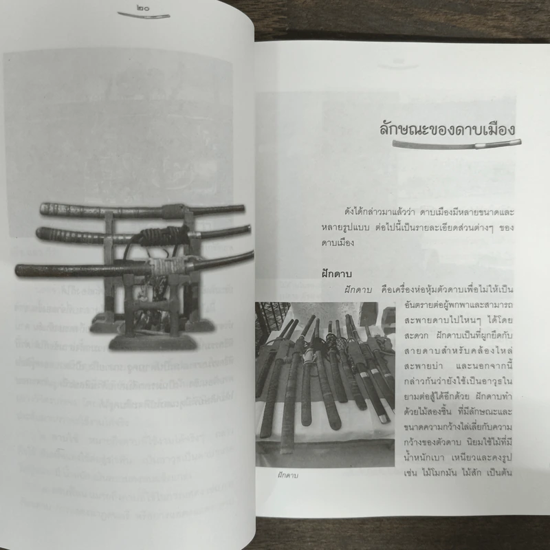 ดาบเมือง - วิลักษณ์ ศรีป่าซาง รูปที่ 8